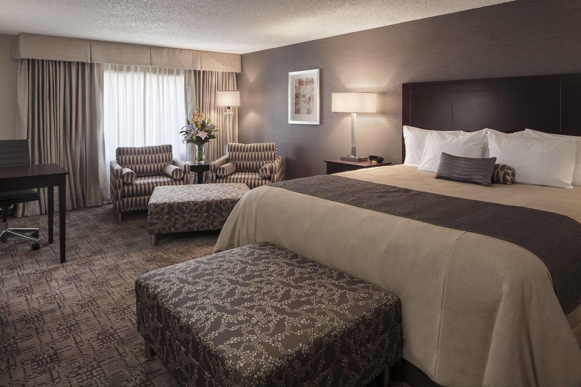 High Desert Inn เอลโค ภายนอก รูปภาพ