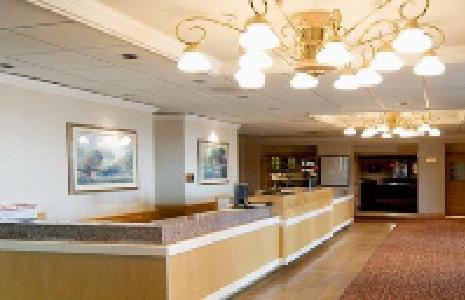 High Desert Inn เอลโค ภายนอก รูปภาพ
