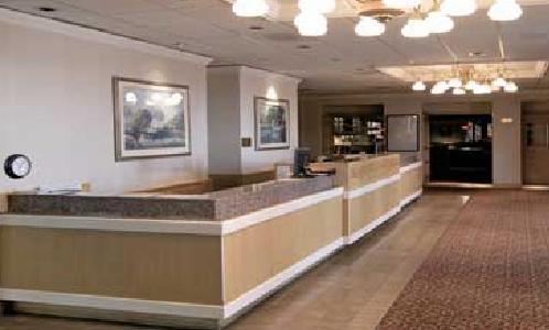 High Desert Inn เอลโค ภายนอก รูปภาพ